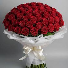 Букет 101 Красная роза Блэк Мэджик в Щедрино
