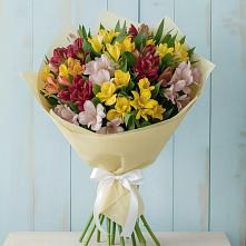 Букет цветов из:  Альстромерии в Щедрино