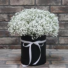 Цветочная композиция из Гипсофила в шляпной коробке в Щедрино