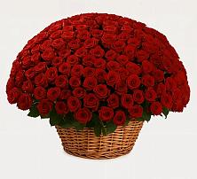 Премиум букет из: Розы в Щедрино