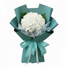 Букет цветов из:  Гортензия #REPLACE_PRED# Щедрино